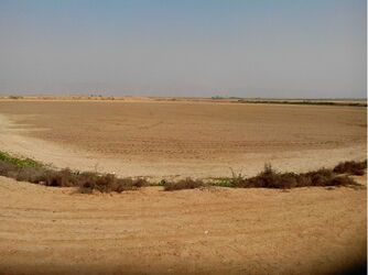 n00002461-r-b-002