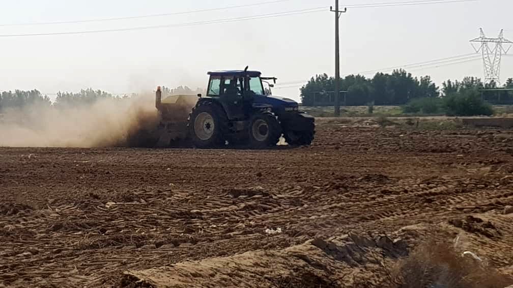 احیای مجدد مزرعه آزمایشی  در شبکه های آبیاری زهره و جراحی