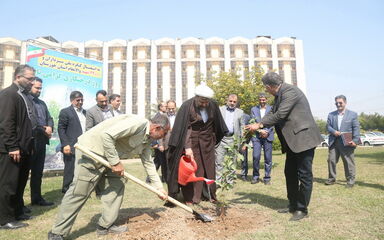 درخت کاری