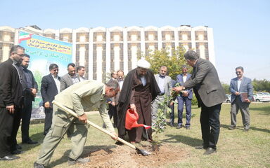 درخت کاری
