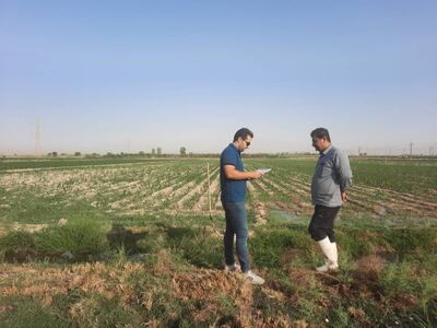 آغاز عملیات مساحی کشت تابستانه و سالیانه در شرکت آبیاری مارون 
