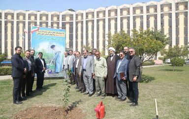 درخت کاری