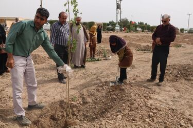 آیین درخت کاری در شرکت آب جنوب شرق