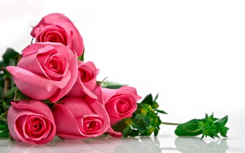 اهدای 110 میلیون ریال برای آزادی زندانیان جرائم غیر عمد