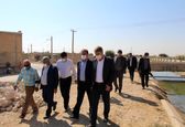 بازدید مدیرعامل سازمان آب و برق خوزستان از کانال های آبیاری و زهکشی شبکه مارون