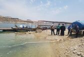 رها سازی بیش از 300 هزار قطعه بچه ماهیان بومی در دریاچه سد مارون بهبهان