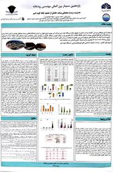 پذیرش و ارائه مقاله زیست محیطی در سمینار مهندسی رودخانه