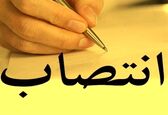 معاون مدیریت ذیحسابی اعتبارات طرح های عمرانی سازمان منصوب شد