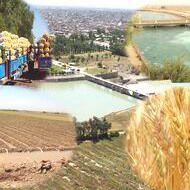 آخرین فرصت عقد قرارداد آب کشاورزان منطقه شمال خوزستان اعلام شد