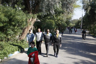 همایش پیاده روی