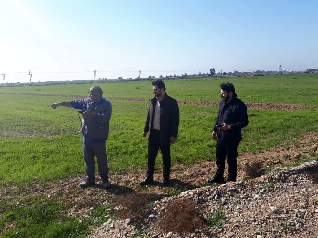 عملیات مساحی زمستانه ۹۹-۹۸ در شبکه های آبیاری زهره و جراحی