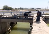 عملیات تعمیرات، جوشکاری و تنظیم چک ها و دریچه های شبکه آبیاری میان آب