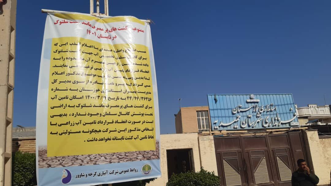 کشت‌های پر مصرف نظیر شلتوک در تابستان ۱۴۰۱ ممنوع است 
