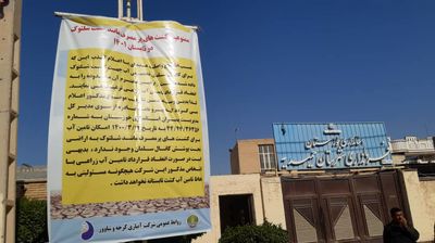 کشت‌های پر مصرف نظیر شلتوک در تابستان ۱۴۰۱ ممنوع است 