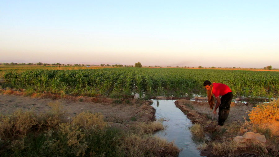اتمام عملیات مساحی کشت های تابستانه در شبکه های آبیاری شمال خوزستان 