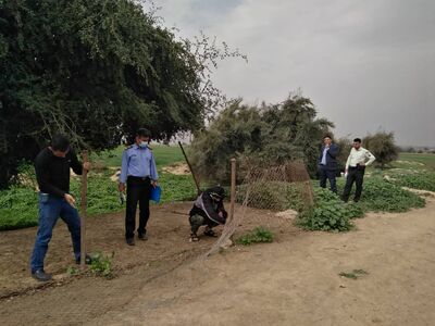 جمع آوری  حصار و ممانعت از  اسکان در حریم کانال ها و زهکش های تحت پوشش شرکت بهره برداری از شبکه های آبیاری کارون بزرگ