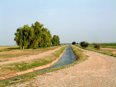 افزایش سطح زیر کشت محصولات زمستانه در شبکه های آبیاری شمال خوزستان