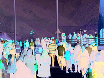 n00001688-r-b-003