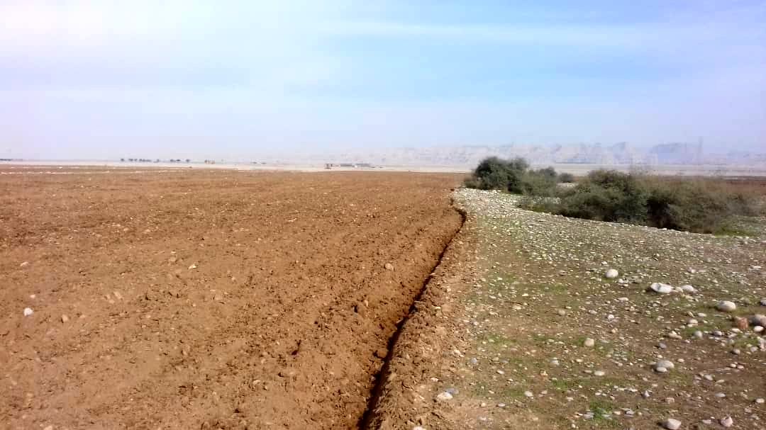  از تصرف و کشت 300 هکتار از اراضی ثبتی سازمان آب و برق خوزستان جلوگیری شد
