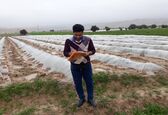 آغاز عملیات مساحی فصل زراعی زمستان ۱۴۰۰ – ۱۴۰۱ در مناطق تحت پوشش شرکت بهره برداری از شبکه های آبیاری کارون بزرگ