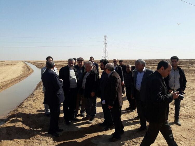 طرح درختکاری بارویکرد بیابان زادیی ، با همکاری شرکت آب جنوب شرق در خوزستان آغاز شد