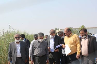 بازدید از سد سلولی آبادان