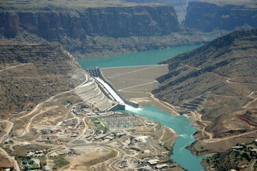 n00000331-r-b-005