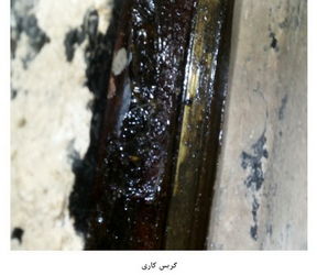 n00002179-r-b-011