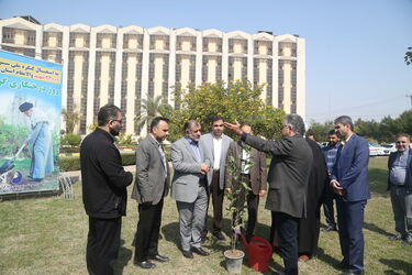درخت کاری