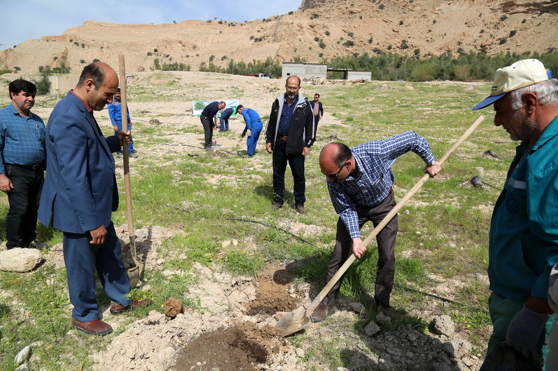 کاشت 300 اصله نهال در سد مسجدسلیمان