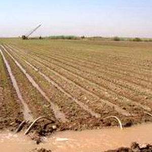 فرصت درخواست تامین آب ماخار در شبکه آبیاری دز اعلام شد