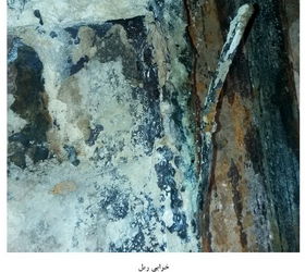 n00002179-r-b-008