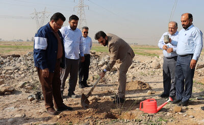 کاشت 7500 اصله نهال کهور توسط شرکت آب غدیر خوزستان
