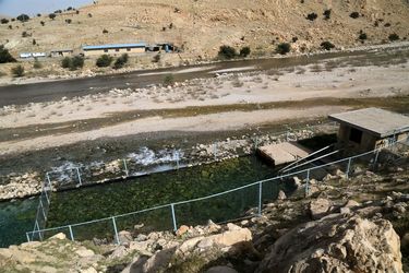 bazdid-namayandegan & niro  1400-1-19 (270)_resize