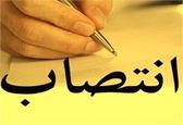مدیریت حوزه هیئت مدیره و مدیرعامل سازمان منصوب شد