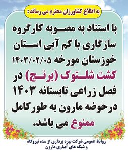     ممنوعیت کشت شلتوک در حوضه مارون 