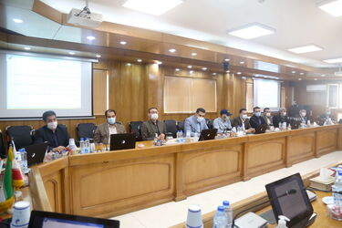 شورای معاونین