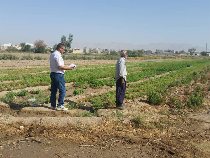 آغاز عملیات مساحی کشت تابستانه و سالانه در شرکت آبیاری مارون 