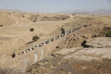 _MG_3666 (Copy)