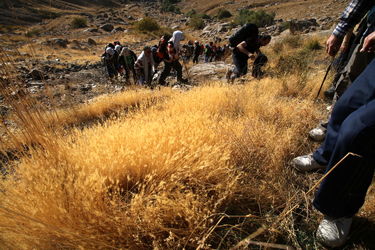 صعود گروه کوهنوردی آقایان سازمان آب و برق خوزستان به قله الوند همدان