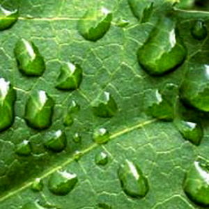 افزایش بارندگی ثبت شده در ایستگاه هواشناسی سد تنظیمی دز