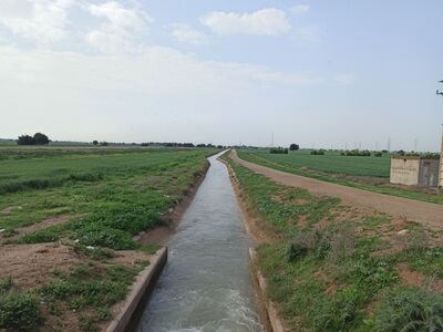 انعقاد قرارداد آب بیش از ۴۷ هزار هکتار انواع محصولات زمستانه و بهاره در شمال خوزستان