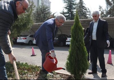 درختکاری نماد کارهایی است که ثمره آن در آینده مشخص می‌شود