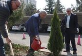 درختکاری نماد کارهایی است که ثمره آن در آینده مشخص می‌شود