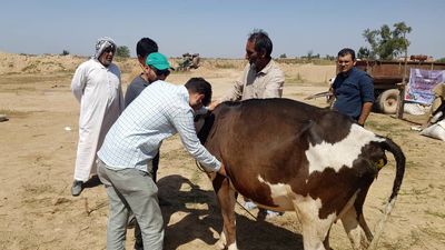 اعزام اکیپ دامپزشکی به مناطق سیل زده

 
 
