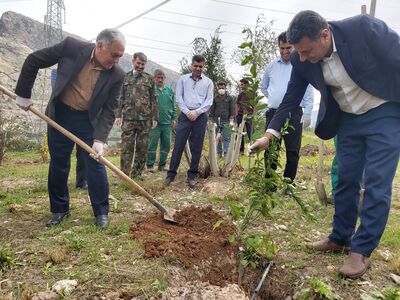  کاشت نهال مرکبات در سد و نیروگاه شهید عباسپور  