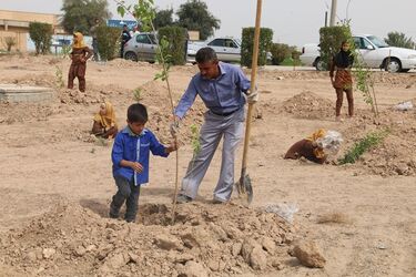 آیین درخت کاری در شرکت آب جنوب شرق