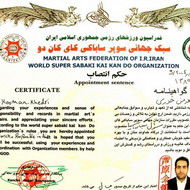 کارمند شرکت آبیاری زهره و جراحی موفق به اخذ گواهینامه سازمان جهانی wssko کاراته در آسیا شد
