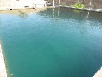 IMG_247268