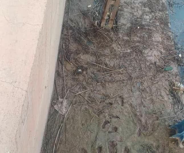 عملیات پاکسازی دستی نی‌ها و پسماندهای زائد سردهانه کانال AMC